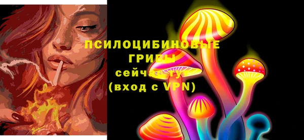 герыч Богородск