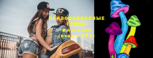 метамфетамин Богданович