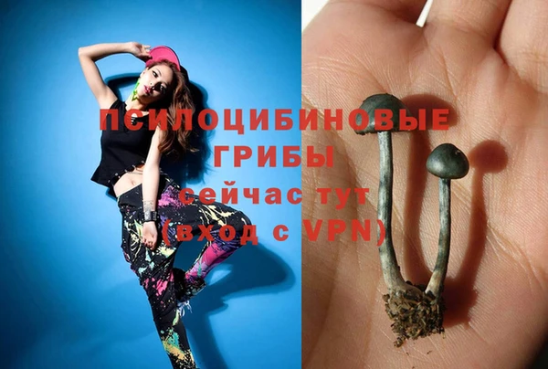 метамфетамин Богданович