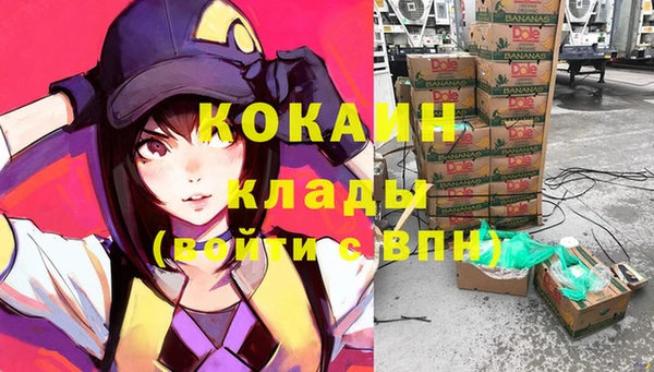 ALPHA PVP Богородицк