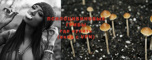 ALPHA PVP Богородицк