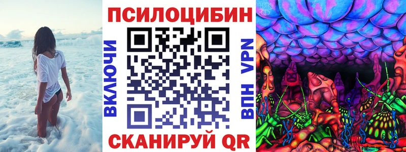 купить   Каменск-Уральский  Псилоцибиновые грибы Magic Shrooms 